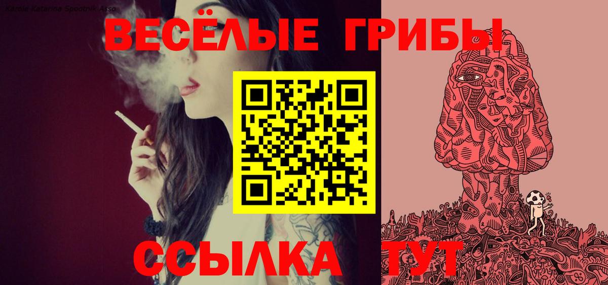 Галлюциногенные грибы мицелий  Вход с VPN  Полысаево 