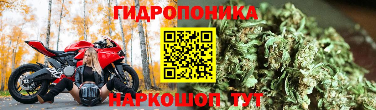 Бошки марихуана Bruce Banner  Конопля план  Полысаево  МАРИХУАНА SATIVA & INDICA  Каннабис Ganja  Вход с VPN 